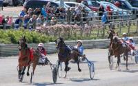 Image for Amman Valley Trotting Club